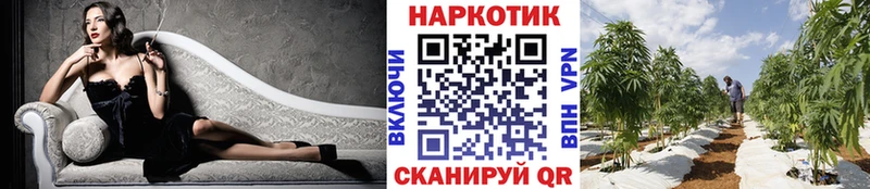 Магазины продажи наркотиков Приморск COCAIN  Меф  Альфа ПВП  Галлюциногенные грибы  ГАШ  Марихуана 