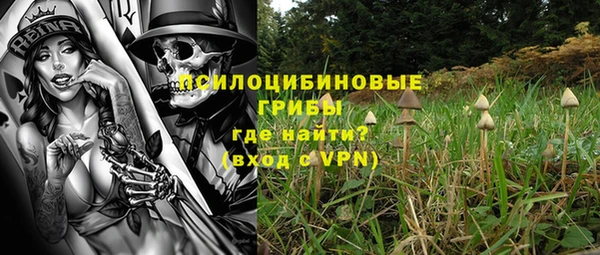 спайс Аркадак