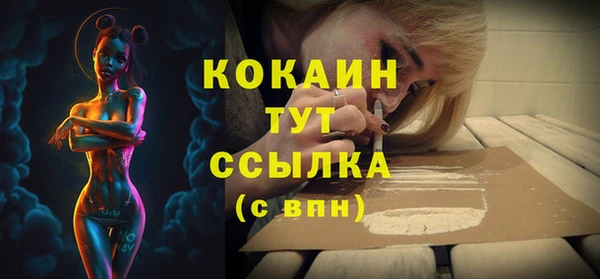 спайс Аркадак