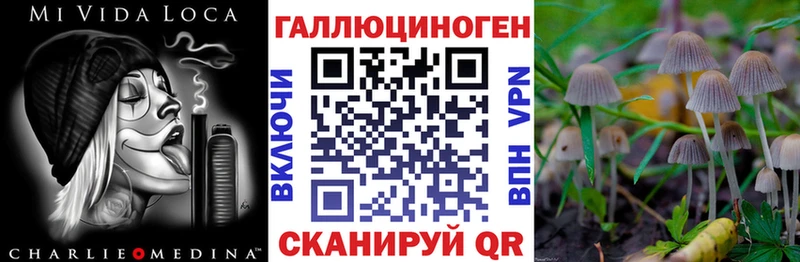 Галлюциногенные грибы Psilocybe Приморск
