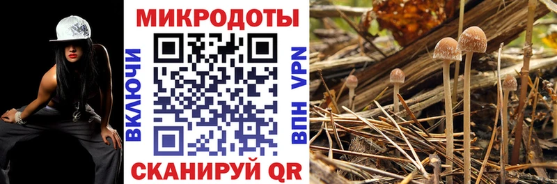 Галлюциногенные грибы прущие грибы  Приморск 